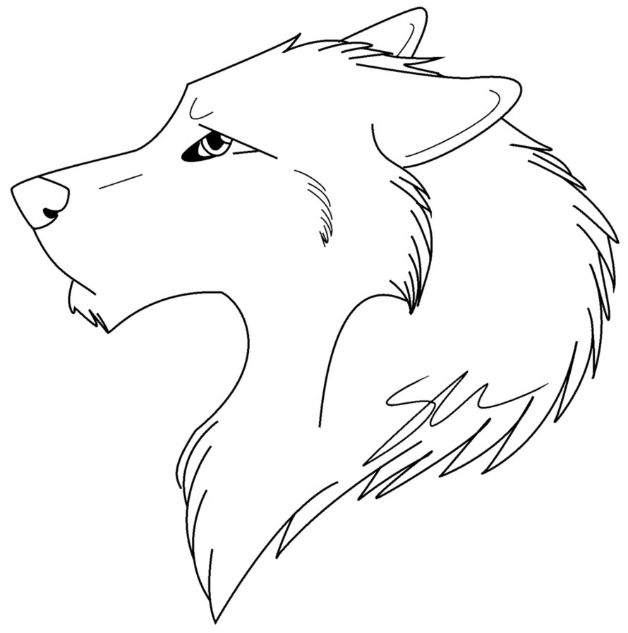 Coloring Pages of a Wolf