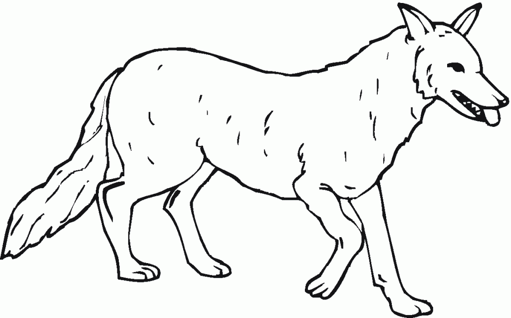 Coloring pages of a Wolfs