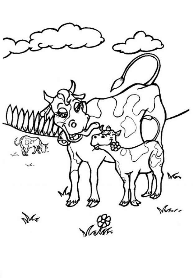 Free Printable Cow Coloring Pages For Kids