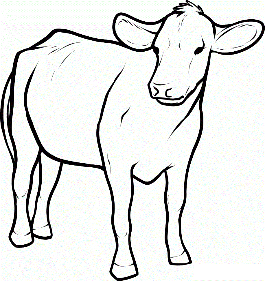 printable-cow-picture