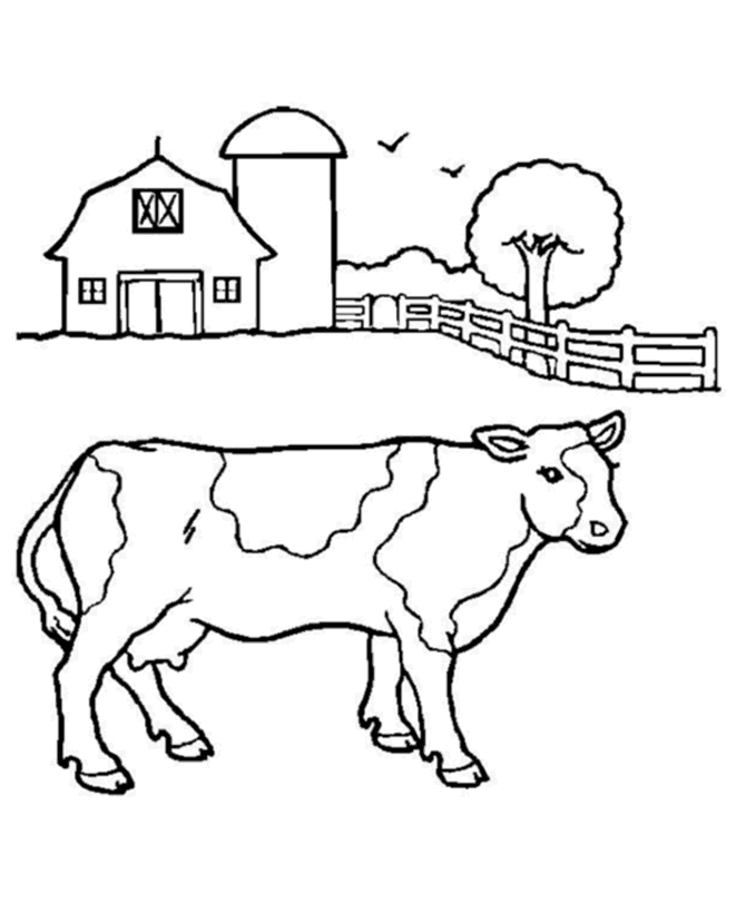 cow coloring pages