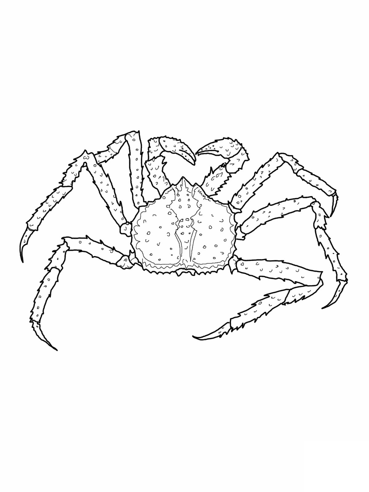 Free Printable Crab Coloring Pages For Kids
