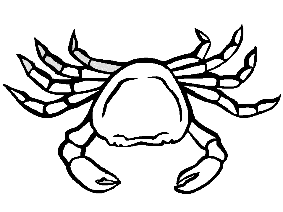 Crab Coloring Pages For Kids