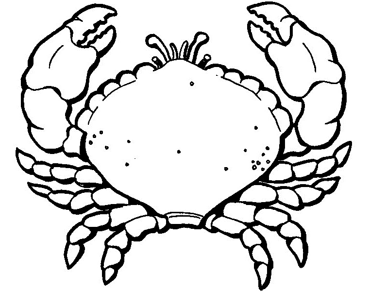 Crab Coloring Pages For Printable
