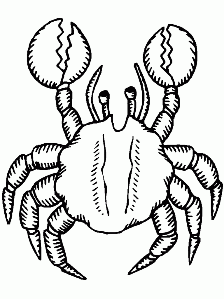 Crab Coloring Pages Free For Kids
