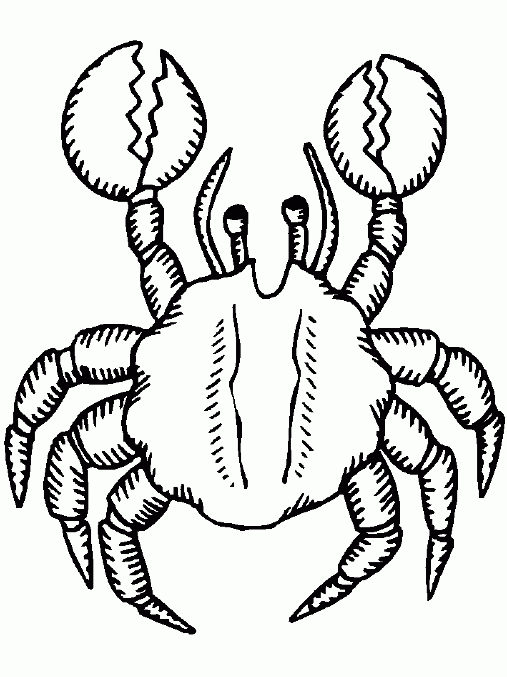 Free Printable Crab Coloring Pages For Kids
