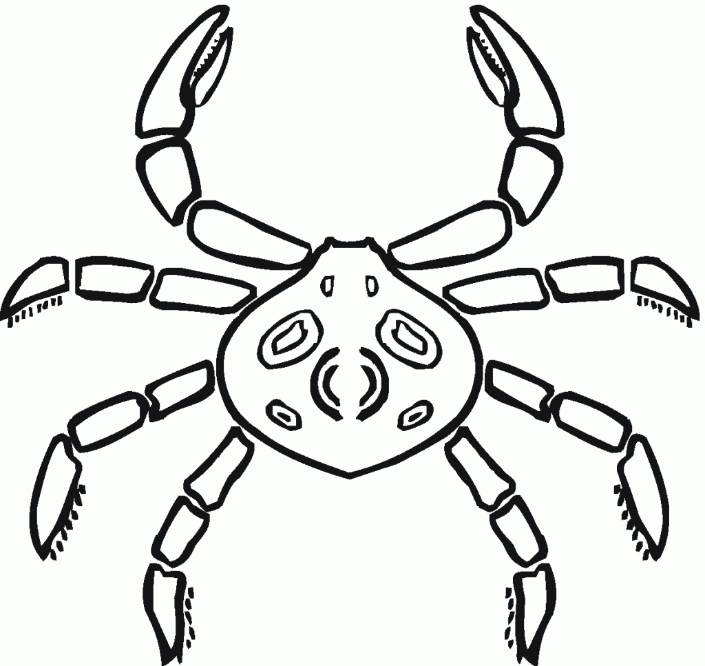 Crab Coloring Pages Kids