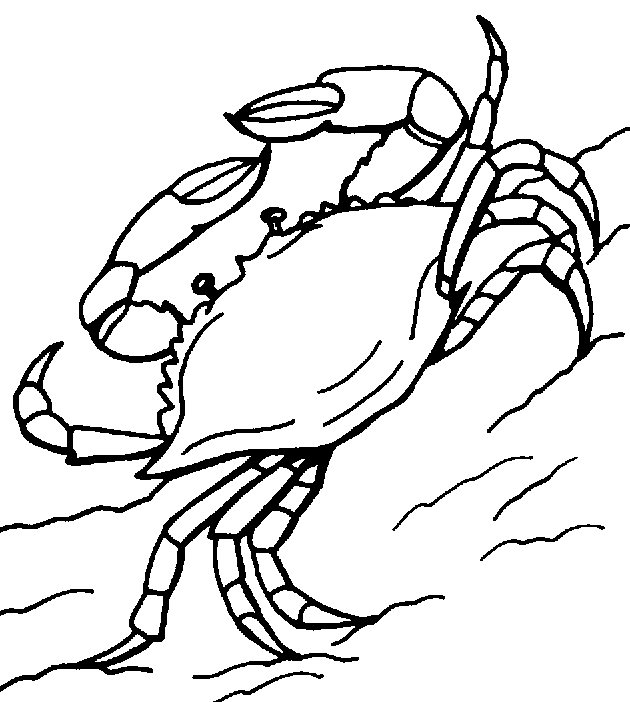 Free Printable Crab Coloring Pages For Kids