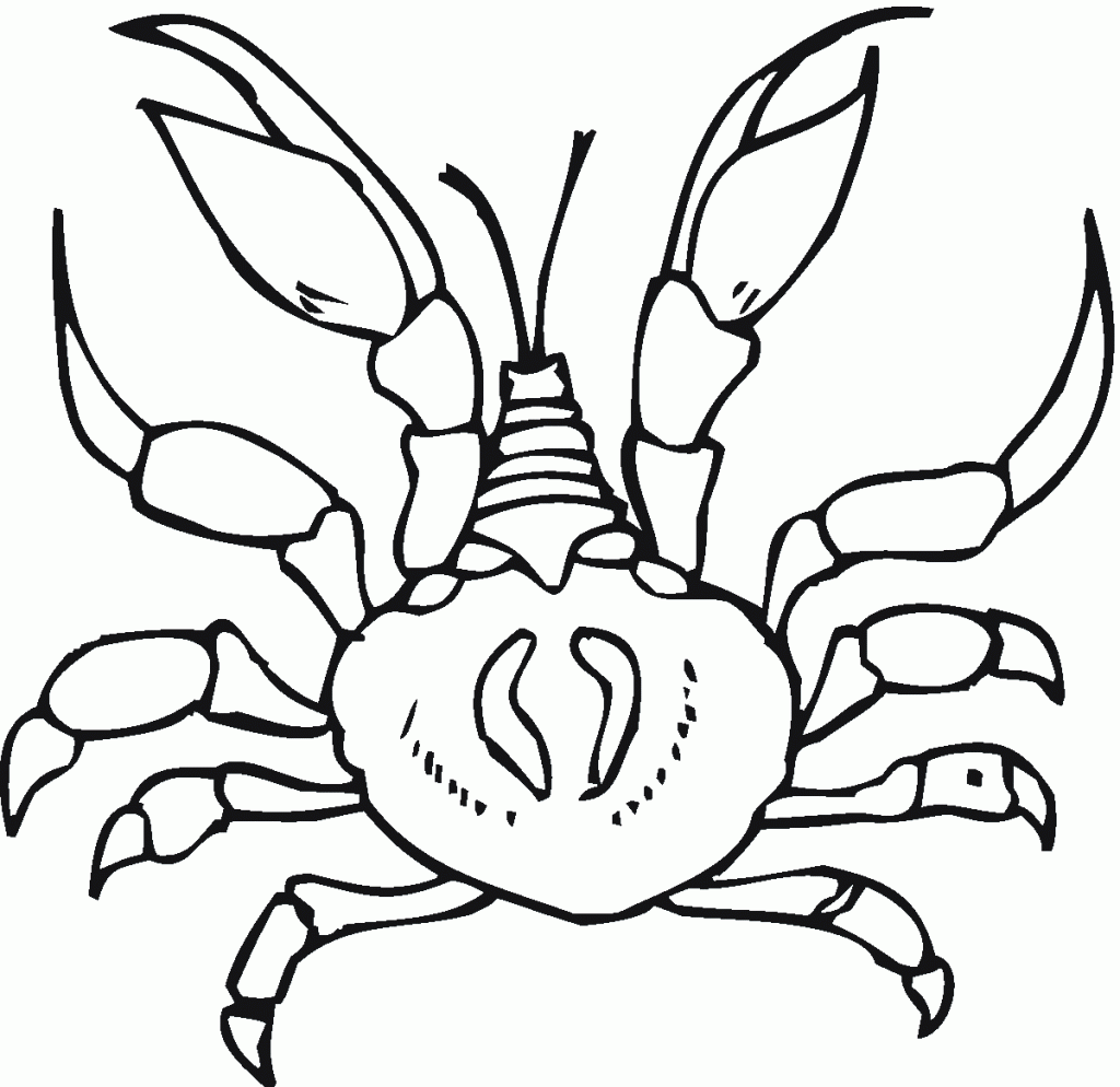 Free Printable Crab Coloring Pages For Kids