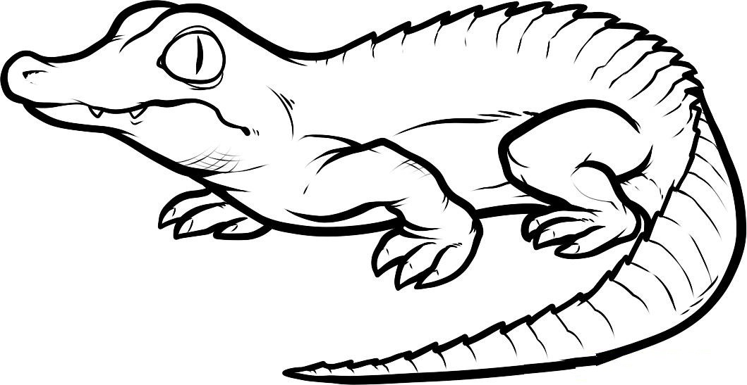 Free Printable Crocodile Colouring Pages