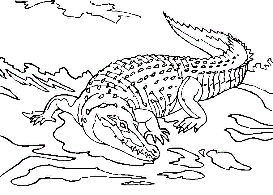 free-printable-crocodile-coloring-pages-for-kids