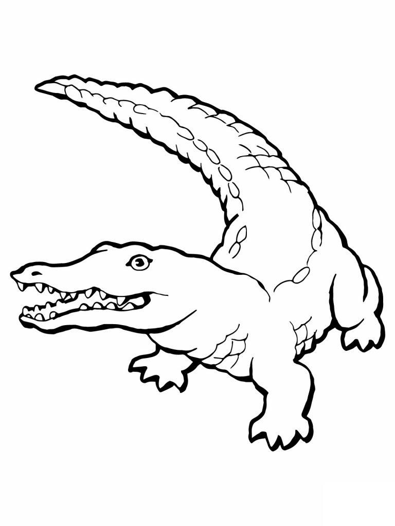 Crocodile Coloring Pages Printable