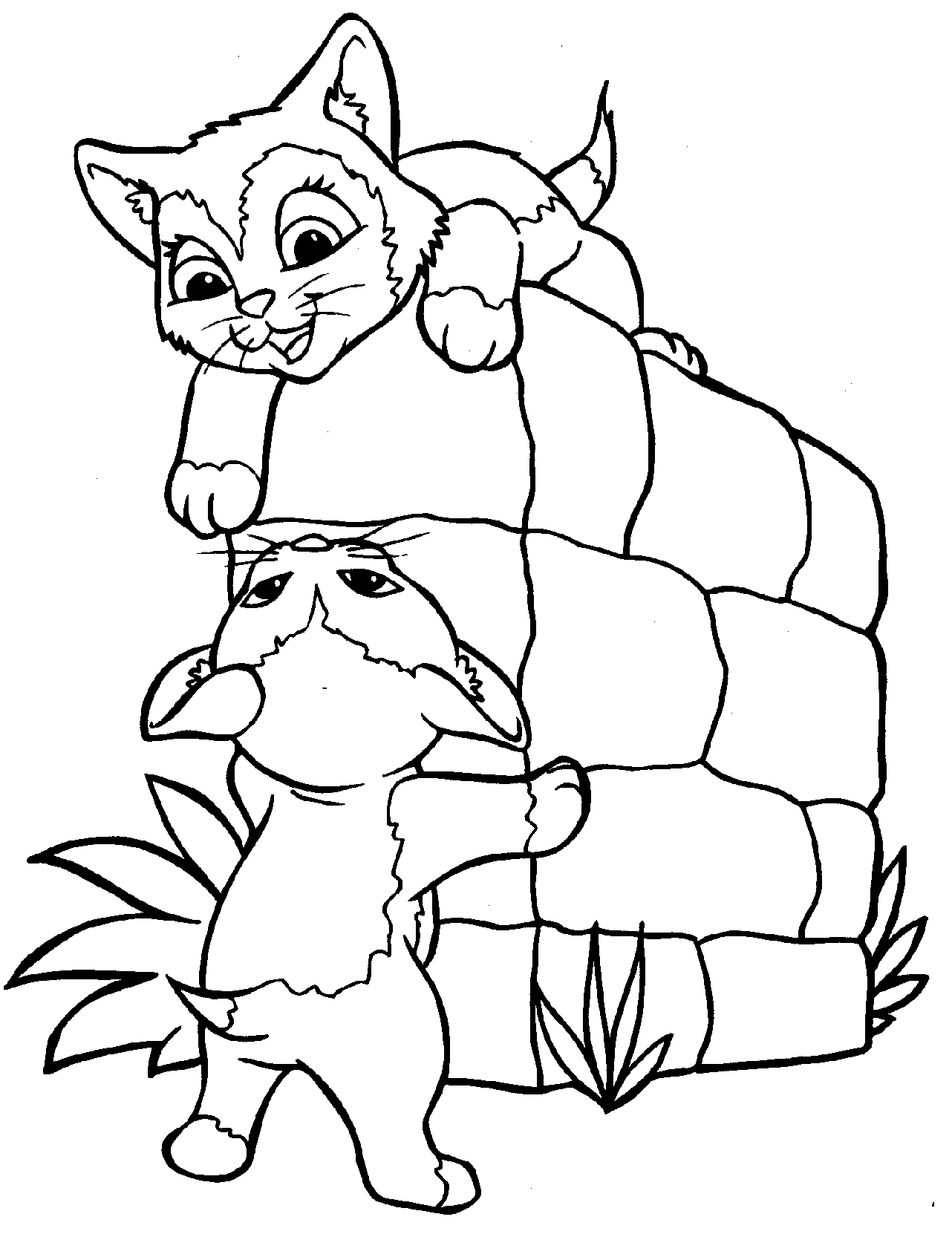 Cat Coloring Pages Free Printable