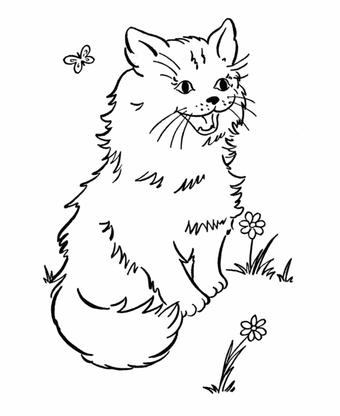 Free Printable Cat Coloring Pages For Kids