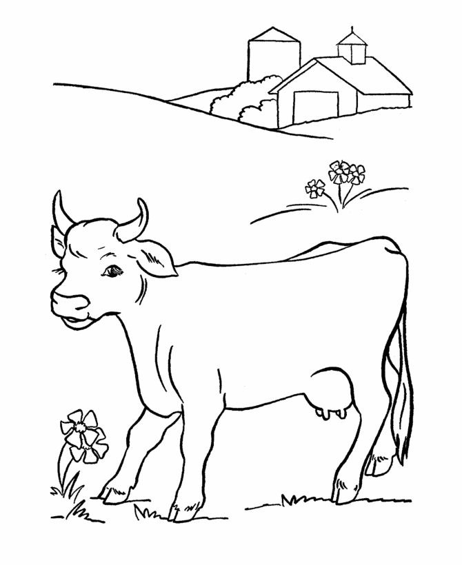 Free Printable Cow Coloring Pages For Kids