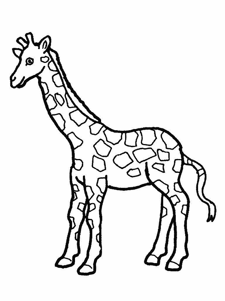 Free Printable Giraffe Coloring Pages For Kids