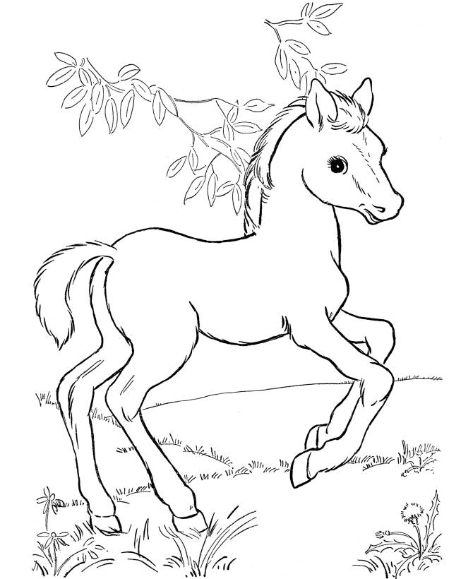 Cute Horse Coloring Pages For Kids