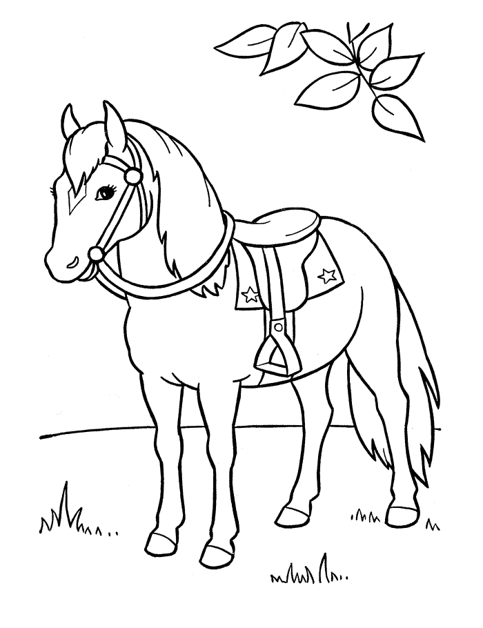 Cute Horse Coloring Pages