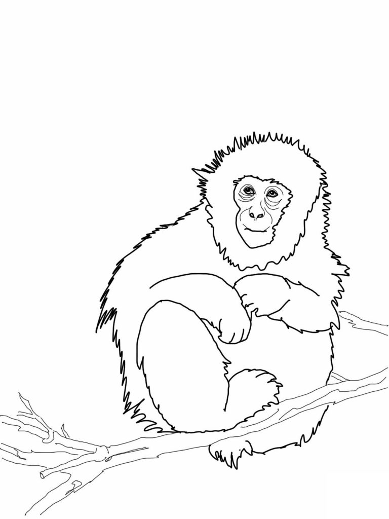 Cute Monkey Coloring Pages Printable