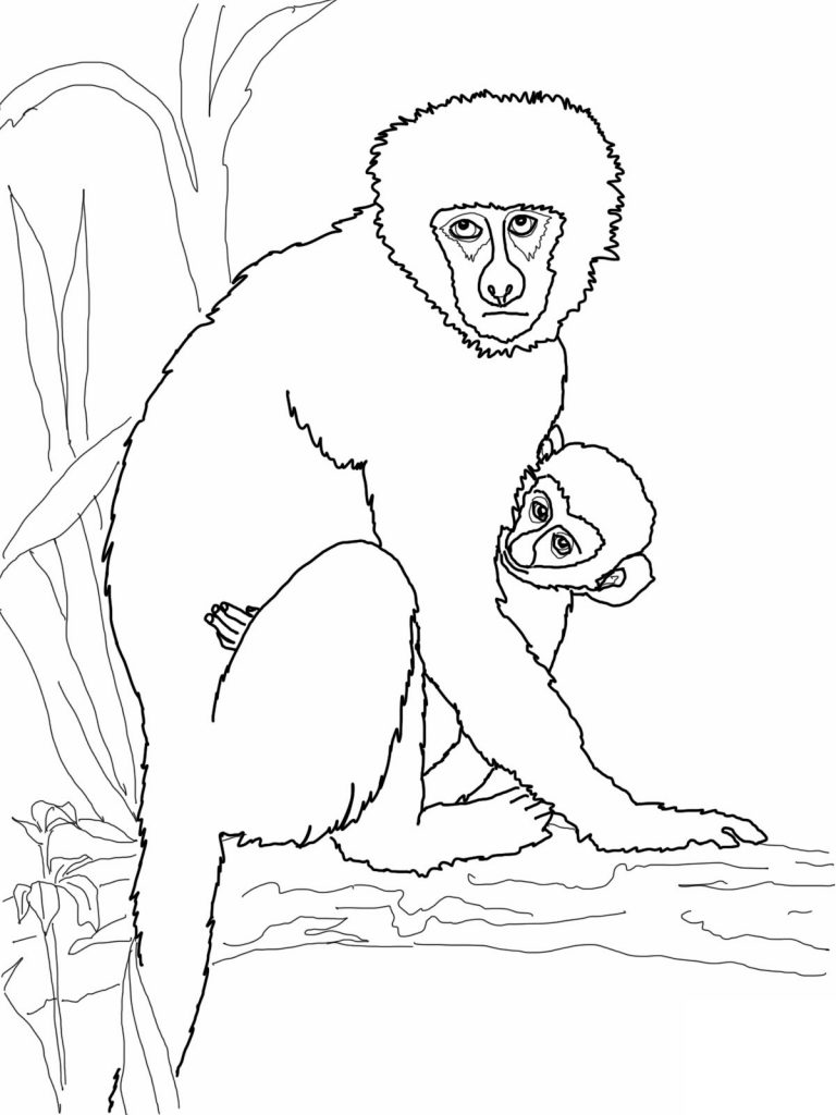 Cute Monkeys Coloring Pages