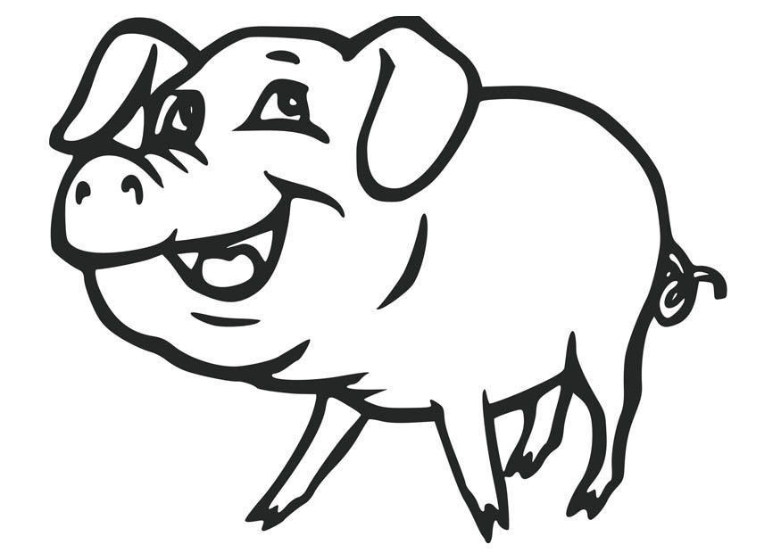 Free Printable Pig Coloring Pages For Kids