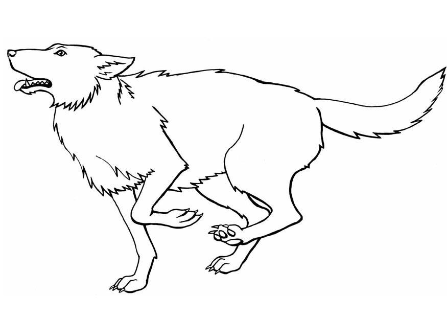 Free Printable Wolf Coloring Pages For Kids