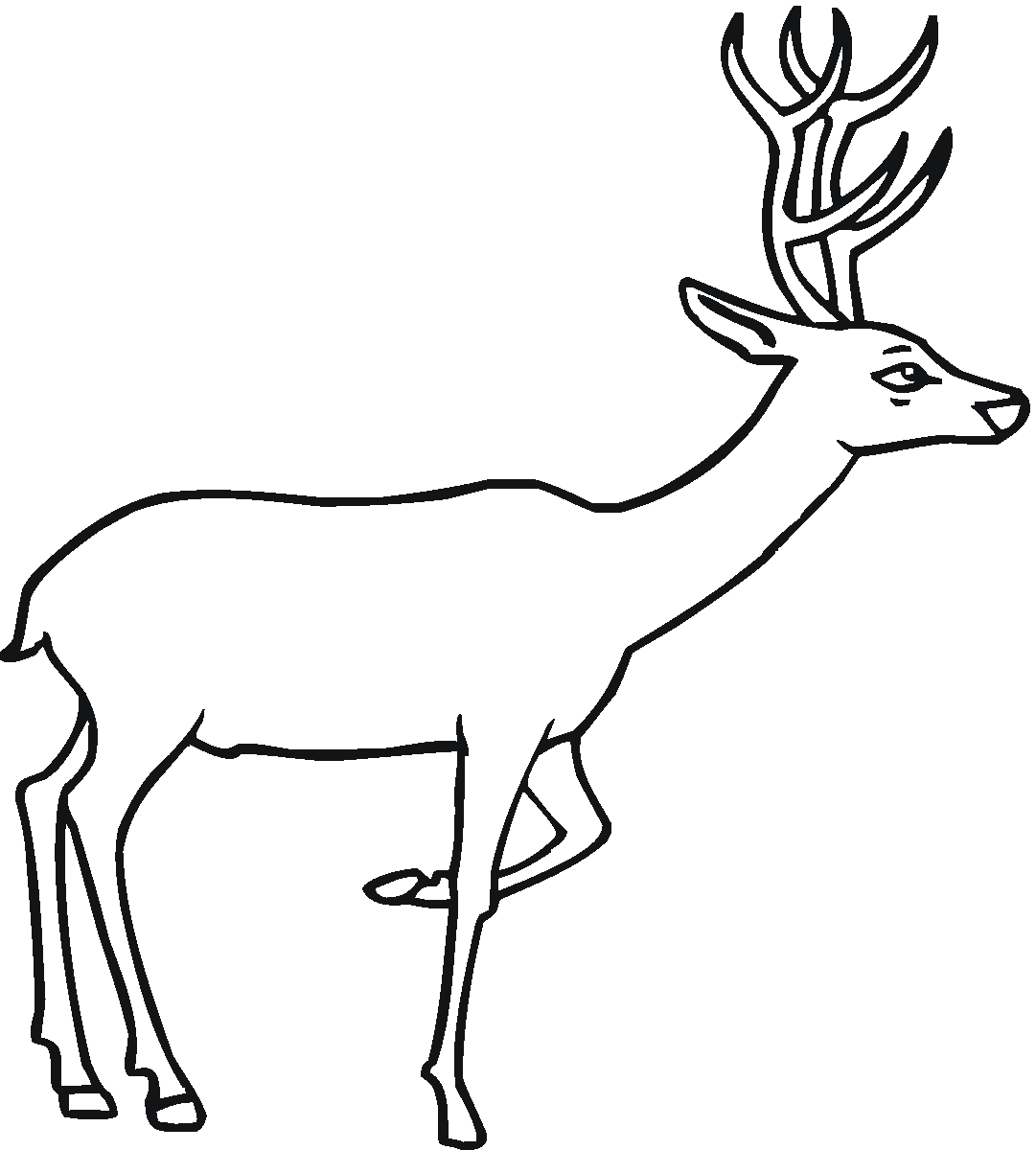 Free Printable Deer Coloring Pages For Kids