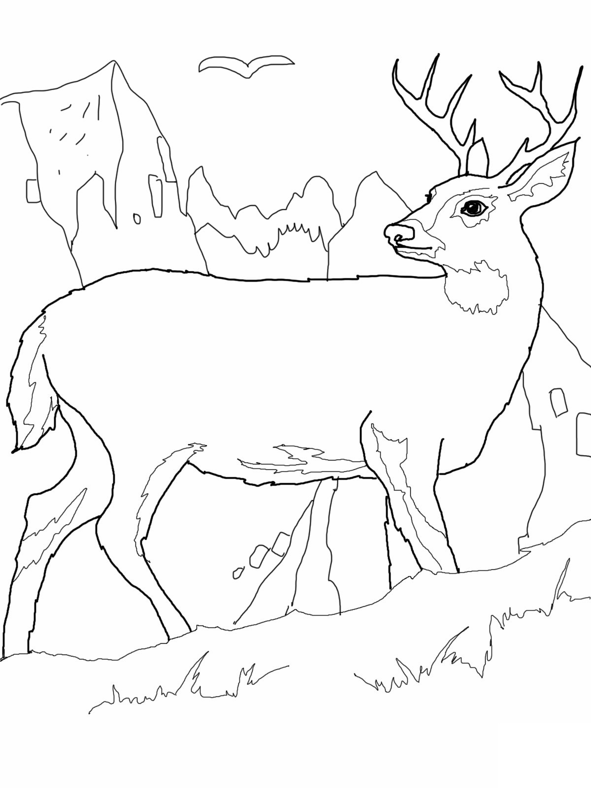 Deer Coloring Pages For Kids 6