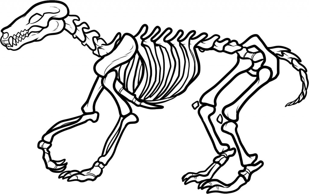 skeleton coloring pages