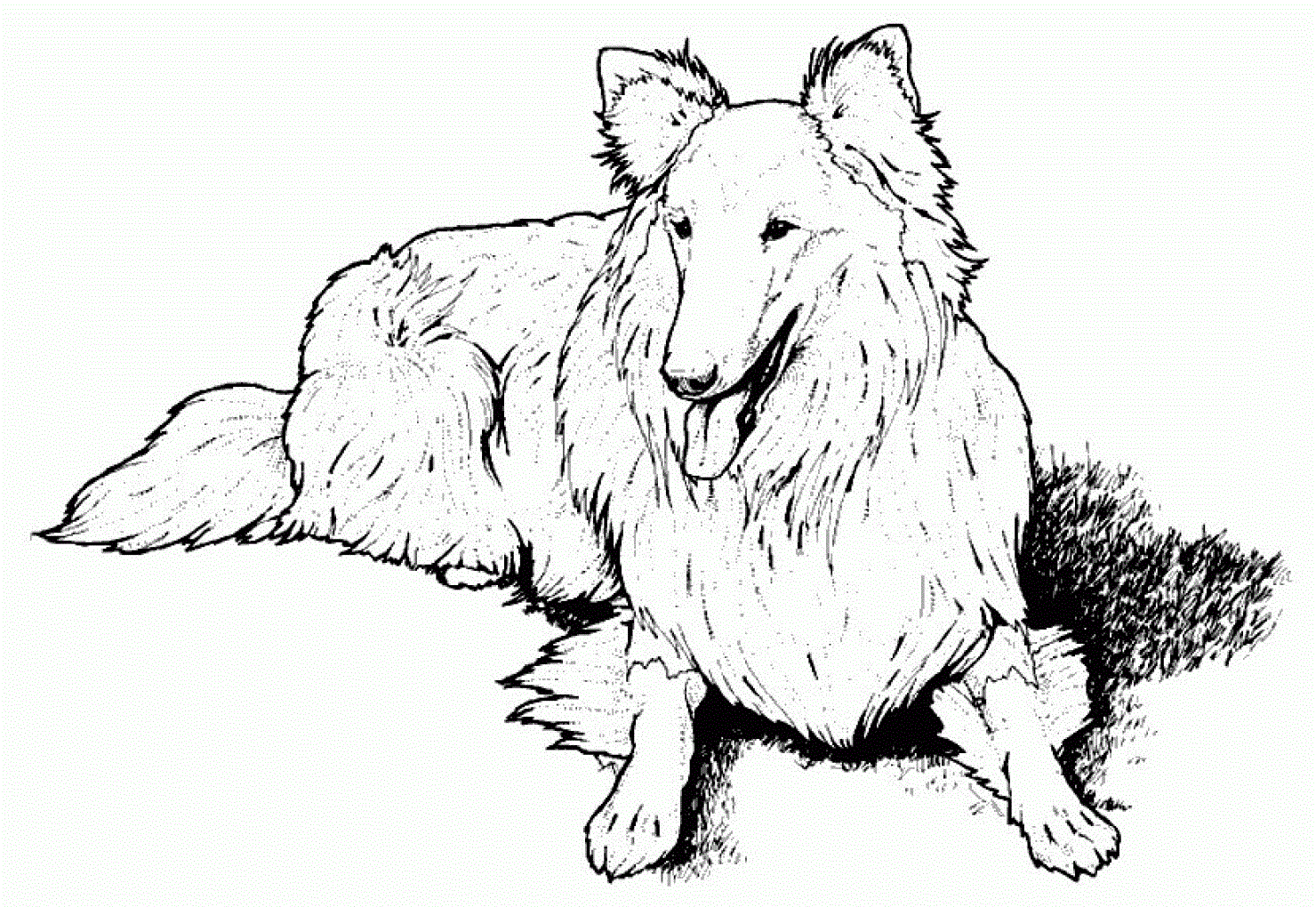 Featured image of post Fluffy Dog Coloring Pages : Coloring pages are fun for children of all ages and are a great educational tool that helps children develop fine motor skills, creativity and color recognition!