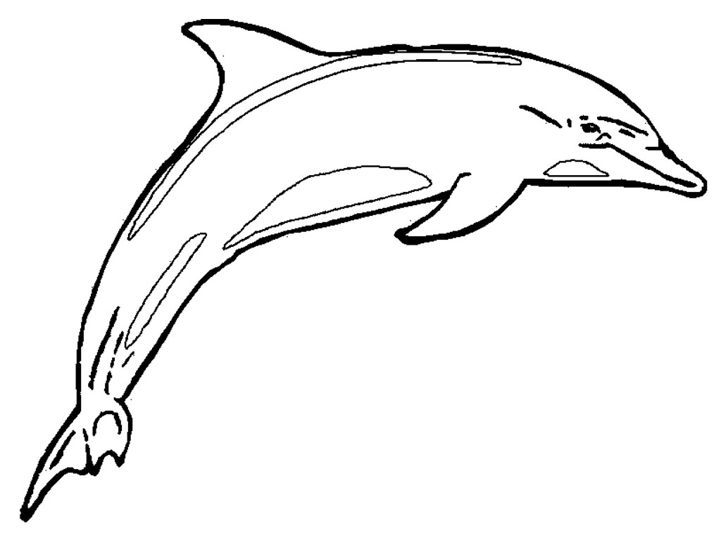 Dolphin Coloring Pages For Girls