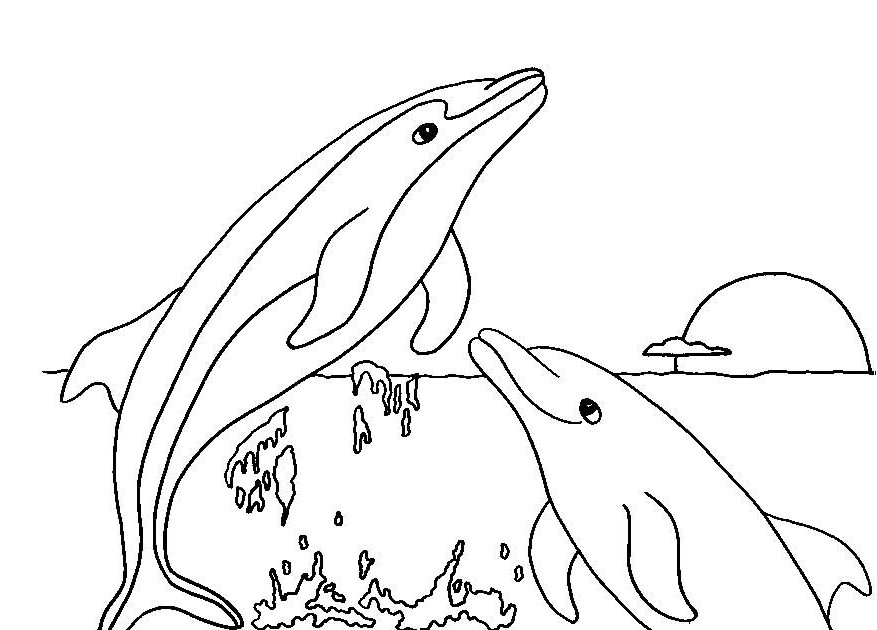 Dolphin Coloring Pages For Kids Printable