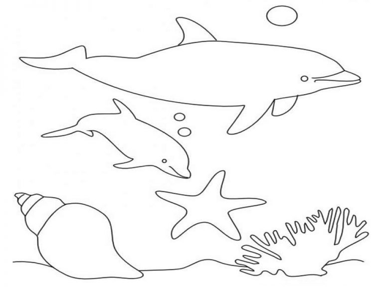 Free Printable Dolphin Coloring Pages For Kids