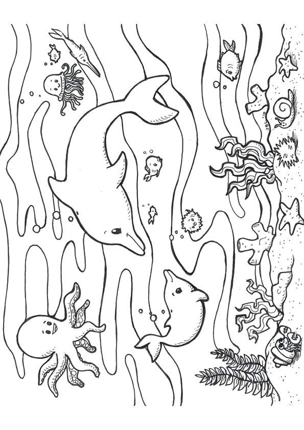 Dolphin And Fish In The Ocean Coloring Page