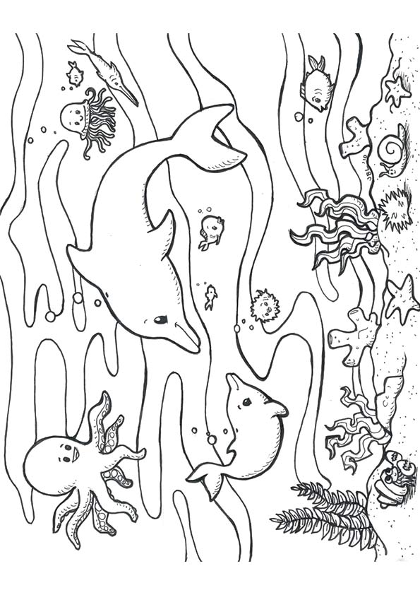 under the sea creatures coloring pages