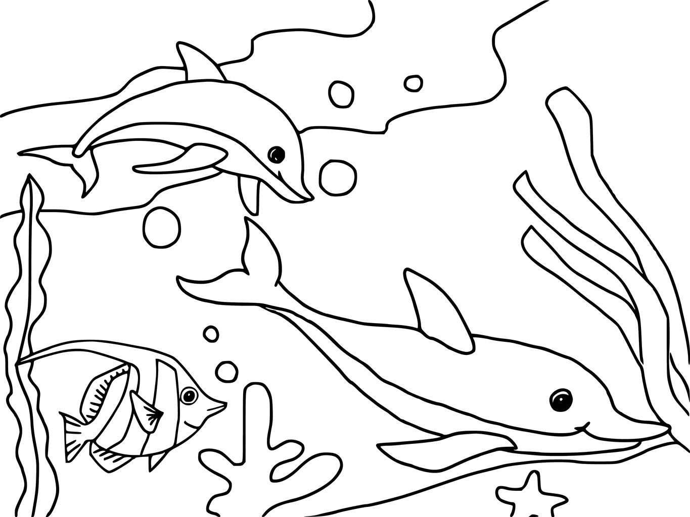 under the sea creatures coloring pages