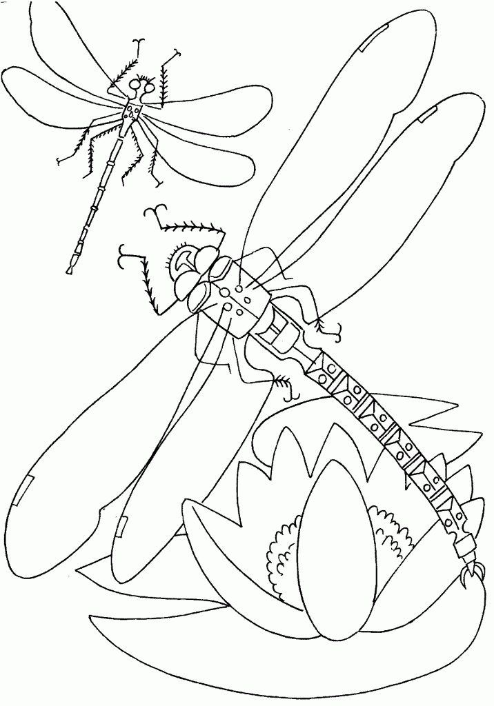  Printable Coloring Pages   7