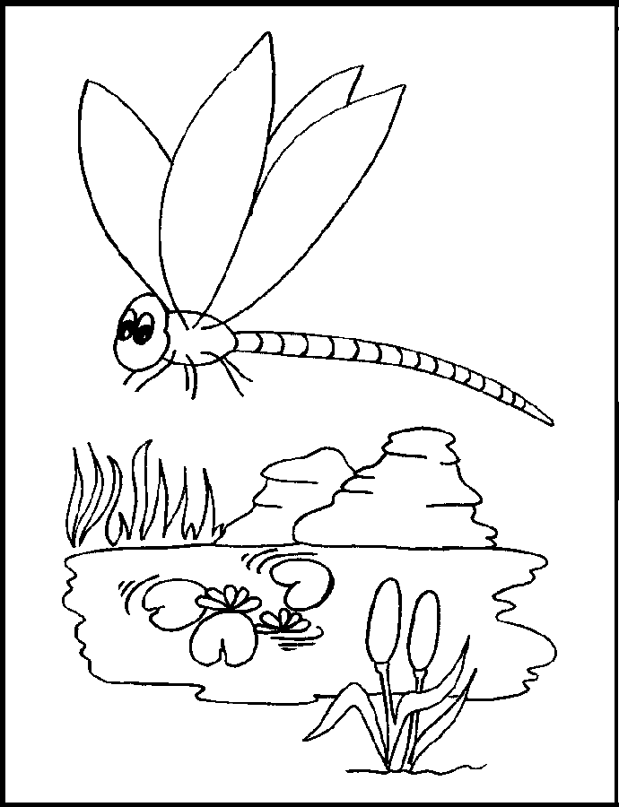 Dragonfly Coloring Pages Photos