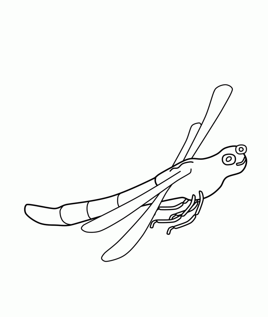 Dragonfly Coloring Pages To Print