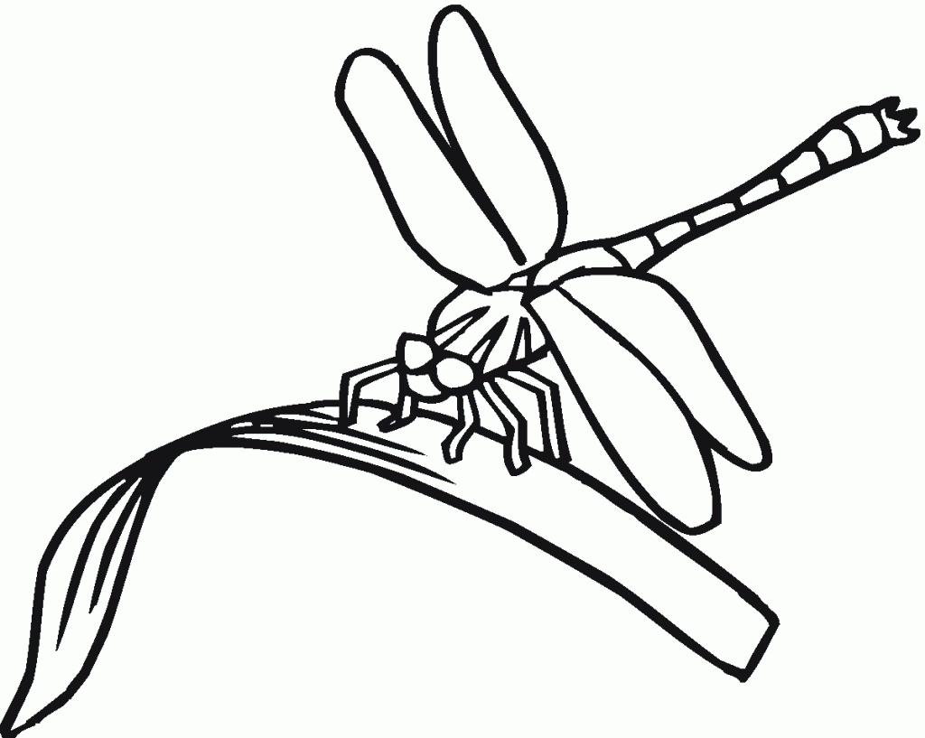 Dragonfly Printable Coloring Pages