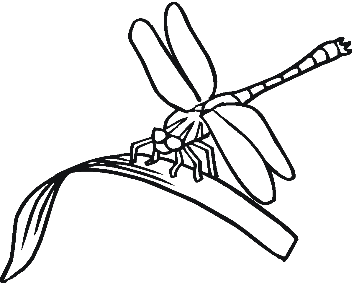 Hard Dragonfly Coloring Page
