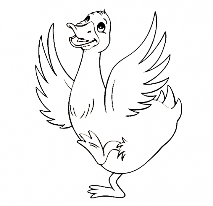 Duck Coloring Pages - Best Coloring Pages For Kids