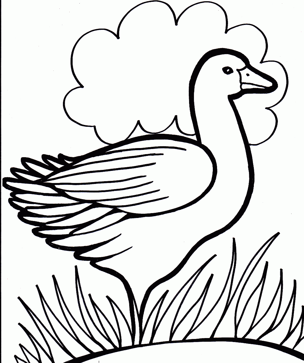 duck coloring pages