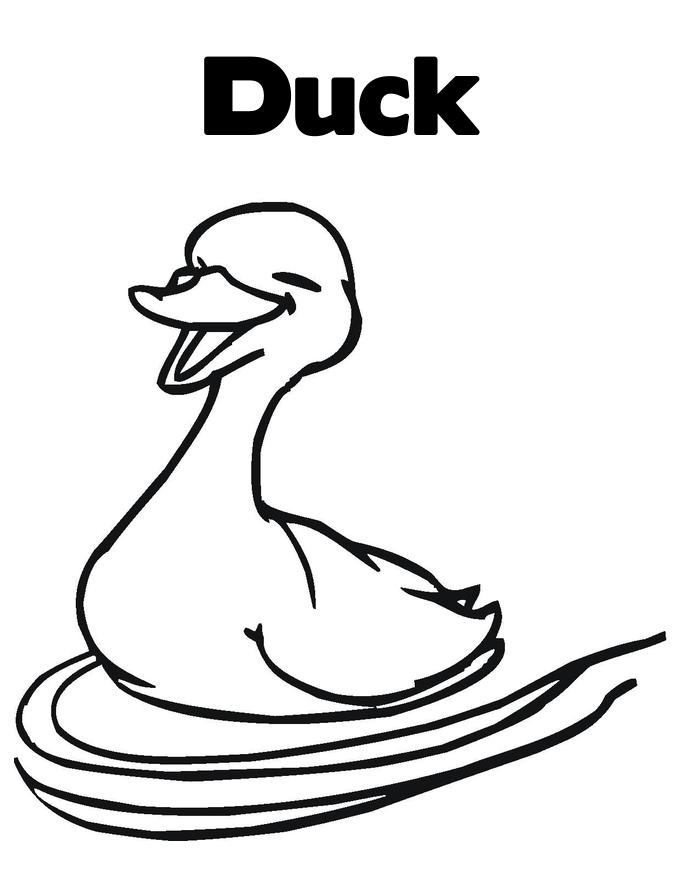 Duck Coloring Pages For Kids Printable