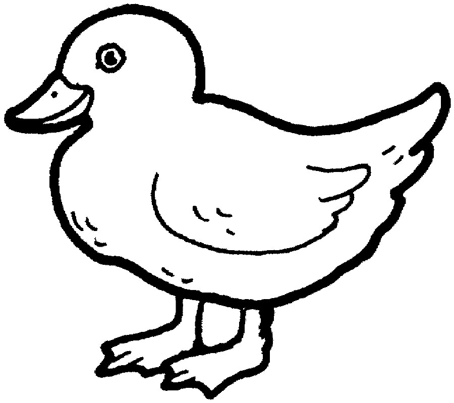 Download Free Printable Duck Coloring Pages For Kids