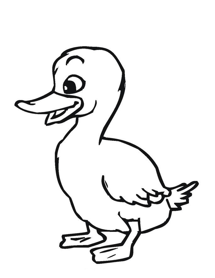 Duck Coloring Sheet 1