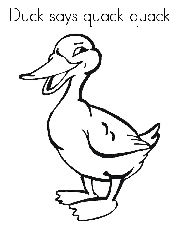 Duck Coloring Pages Pictures
