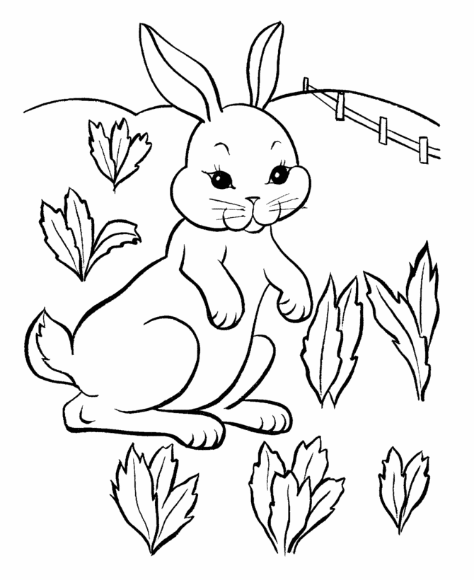 easter bunny coloring pages for kids - photo #30