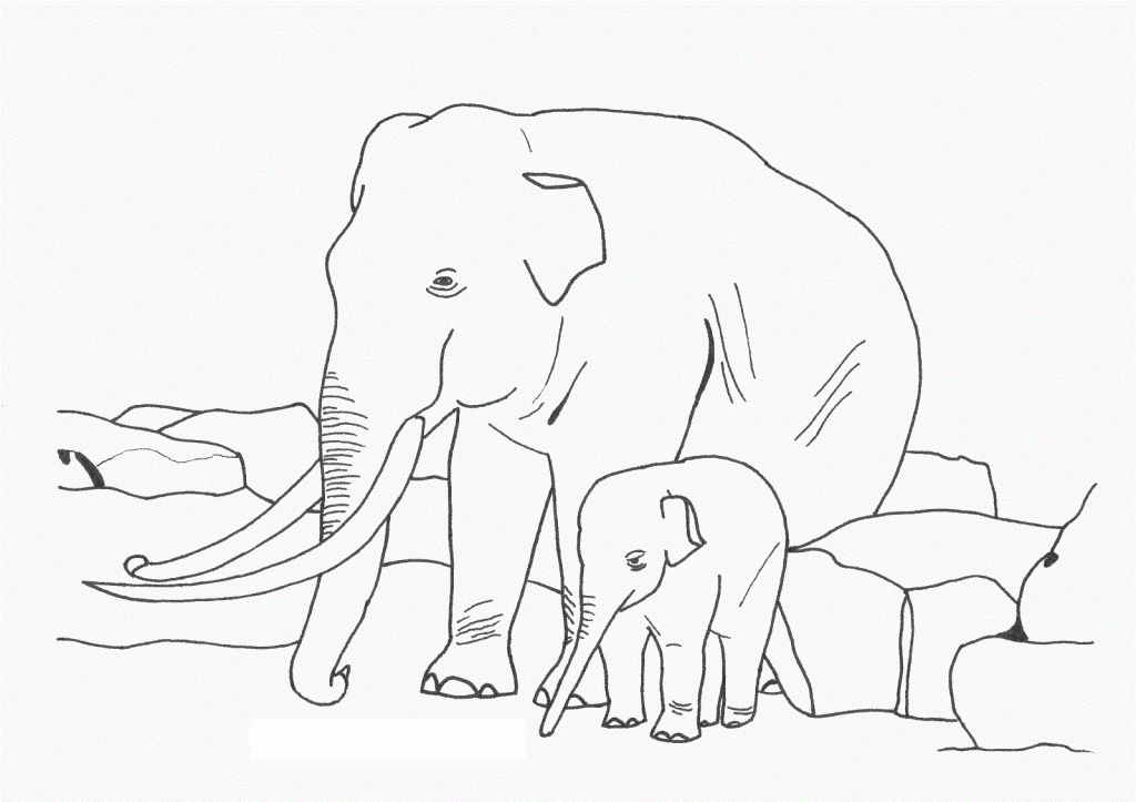 Elephant Coloring Pages