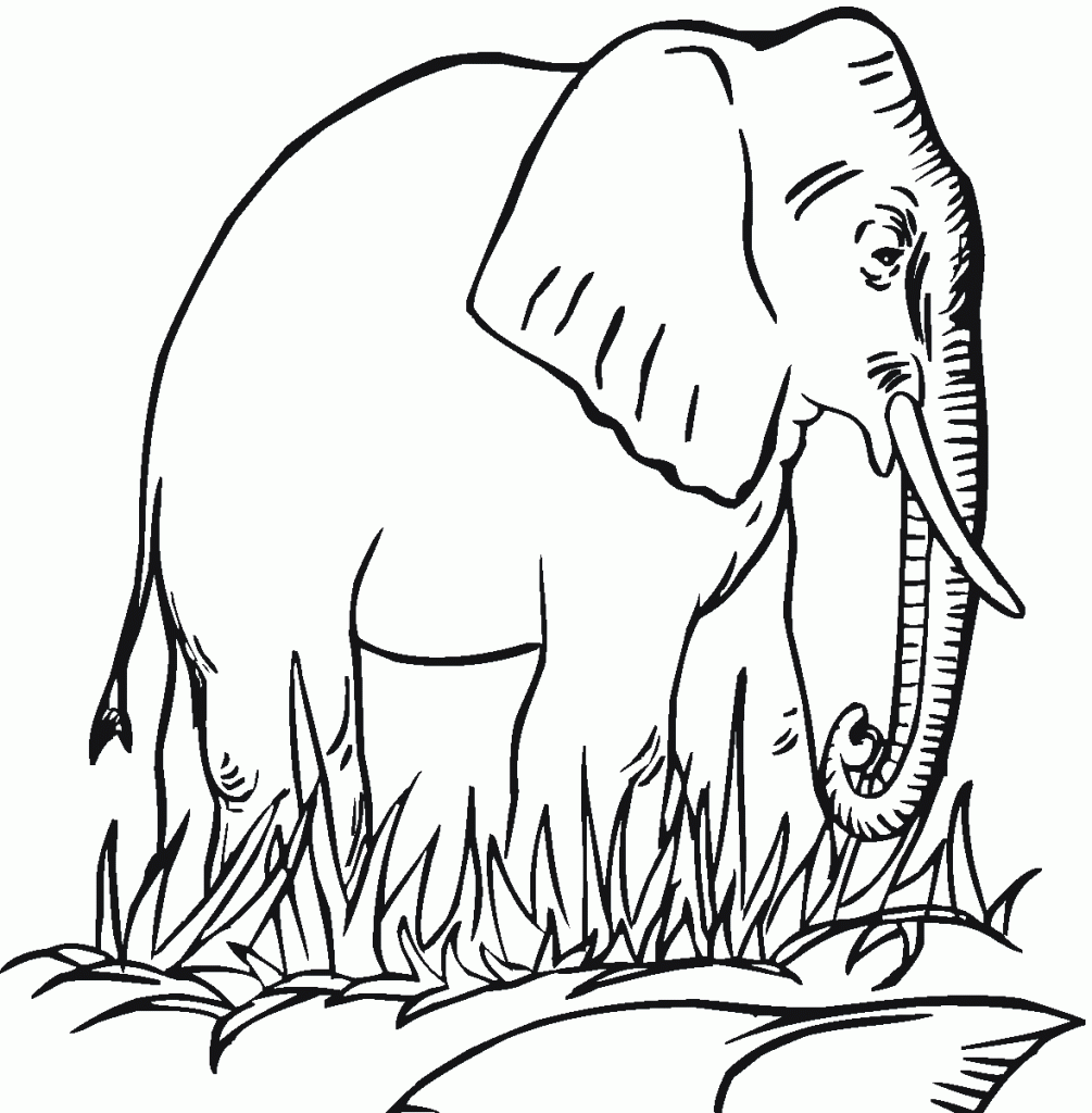 Elephant Printable Coloring Pages